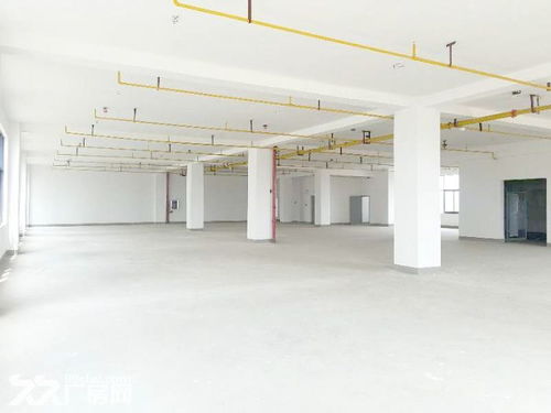 武漢光谷新動力優(yōu)質廠房出租，800平米僅20元/平，軟件開發(fā)理想之選