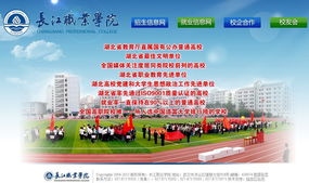 武漢市陸叁玖科技 一站式數字解決方案，助力企業(yè)騰飛